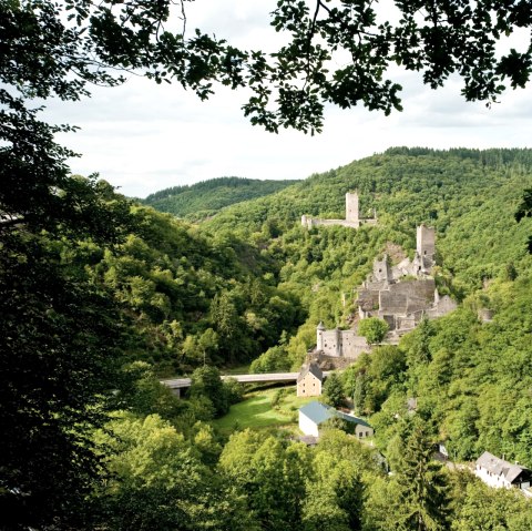 Blick auf die Manderscheider Burgen am Lieserpfad, © GesundLand Vulkaneifel / D. Ketz