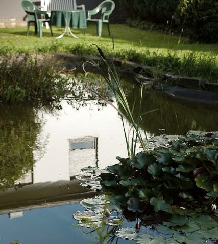 Teich, © Helmut Murk & Nordeifel Tourismus GmbH