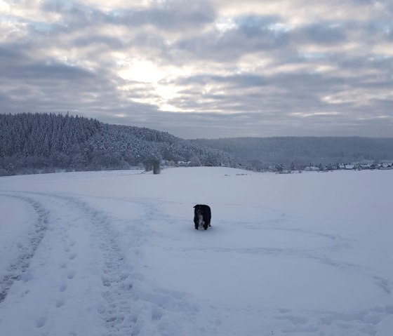 im Schnee toben