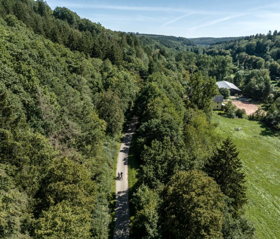 Schöner Blick auf den Wald, © Eifel Tourismus GmbH, Dennis Stratmann