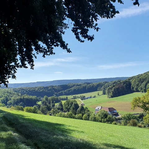 Panoramablick über das Enztal, © TI BItburger Land - Steffi Wagner