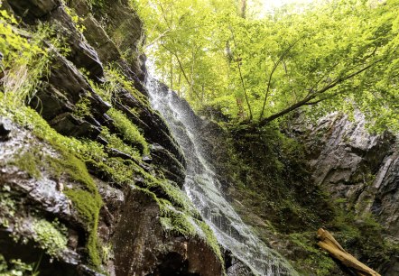 Der Klidinger Wasserfall, © Eifel Tourismus GmbH, AR - shapefruit AG