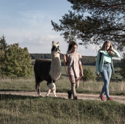 Lama-Wanderung durch die Schönecker Schweiz, © Eifelnomaden, Julietta Baums