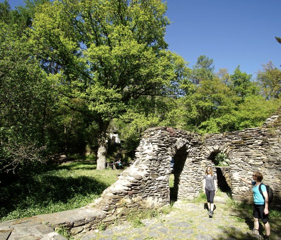 Klosterruine Mädburg bei Kehrig, © Laura Rinneburger