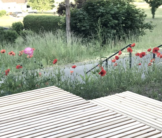 Terrasse Frühling und Aussentreppengeländer, © Bogawski/Matzke