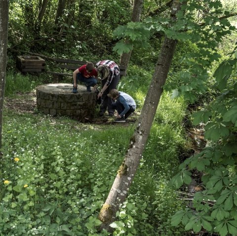 Quelle, © Bitte die Fotos nur nach Rücksprache mit uns in den sozialen Medien veröffentlichen, wie möchten diese exklusiv halten. Eine Veröffentlichung auf eurer Homepage oder in Prospekten ist kein Problem.