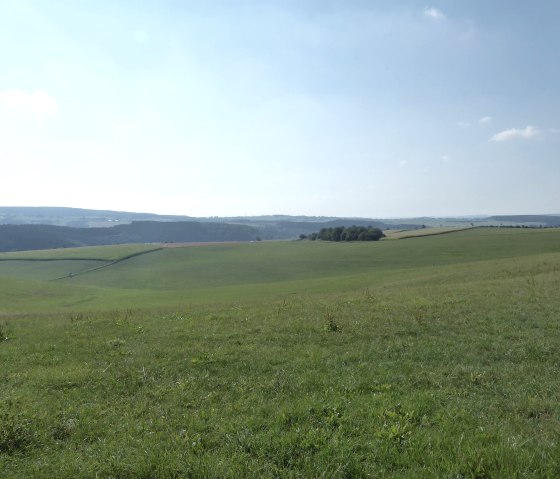 Panoramablick auf die Höhen bei Bleialf, © Tourist-Information Prümer Land