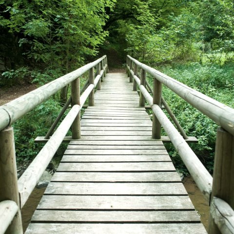 Brücke am Lieserpfad in der Eifel, © GesundLand Vulkaneifel / D. Ketz