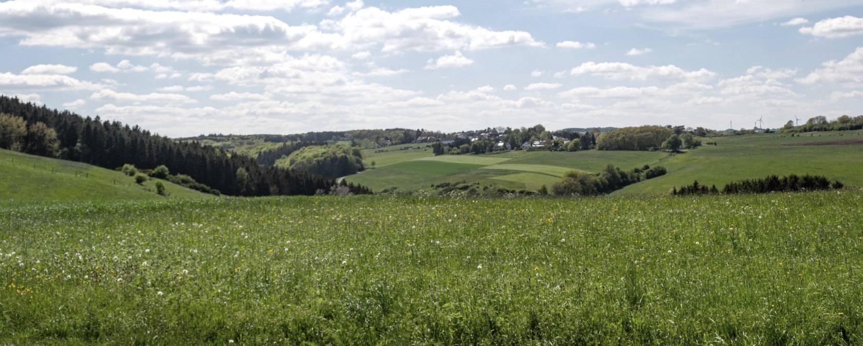 Eifelspur Münstereifelsteig - Naturschutzgebiet Erftaue, © Nordeifel Tourismus GmbH