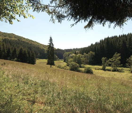 Eifellandschaft auf dem Irsenpfad, © Naturpark Südeifel Joelle Mathias