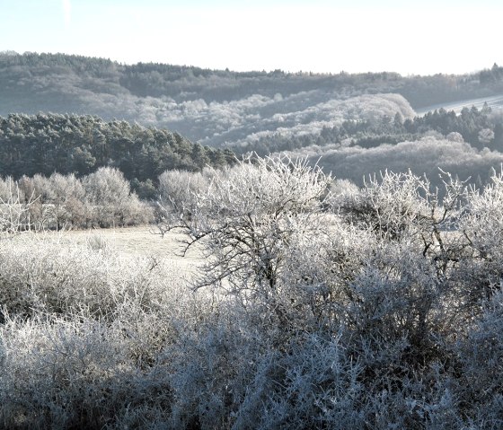 Winterlandschaft_2