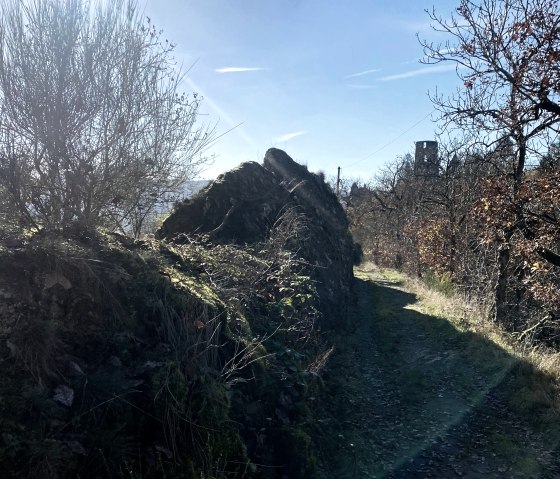 Wanderweg zur Burg Falkenstein, © Felsenland Südeifel Tourismus GmbH / Anna Carina Krebs