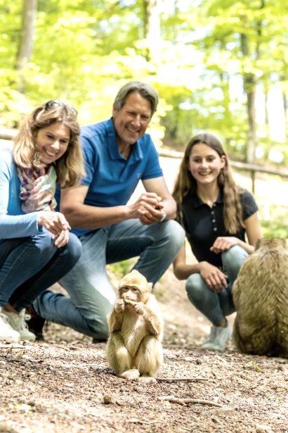 Affen füttern im Wild- und Erlebnispark Daun, © Eifel Tourismus GmbH, Dominik Ketz