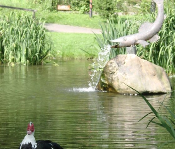 Stadspark Neuerburg met fontein, © Felsenland Südeifel Tourismus