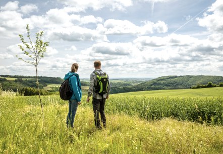 Wandern durch die hügelige Landschaft der Eifel, © Eifel Tourismus GmbH, Dominik Ketz