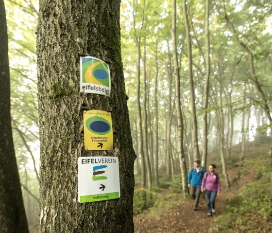 Gerolstein Eifelsteig, © Eifel Tourismus GmbH, Dominik Ketz