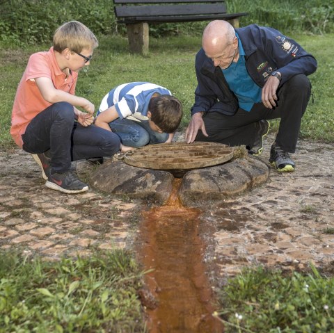 Geeser Drees, © Natur- und Geopark Vulkaneifel