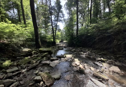 Mertert_Bachlauf, © Deutsch-Luxemburgische Tourist Info