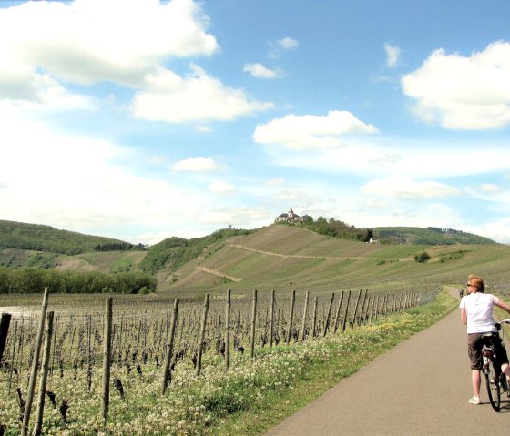 Radweg unterhalb der Marienburg