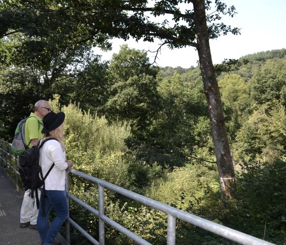 Blick ins Tal der Kleinen Kyll, © GesundLand Vulkaneifel GmbH