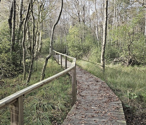 Passerelle en bois Bragphenn, © Touristik GmbH Gerolsteiner Land, Leonie Post