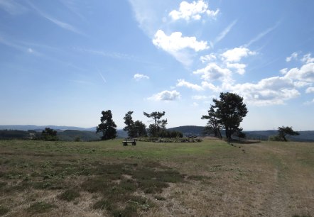 Auf dem Kindgen, © Foto: Svenja Schulze-Entrup, Quelle: Touristik-Büro Vordereifel