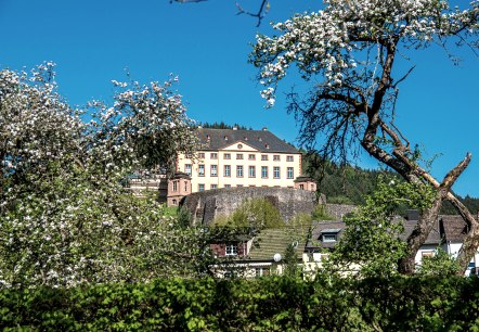 Schloss Malberg, © TI Bitburger Land