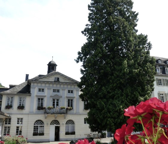 Kurfürstliches Schlößchen-Lebensbaum Alleegarten, © GesundLand Vulkaneifel GmbH