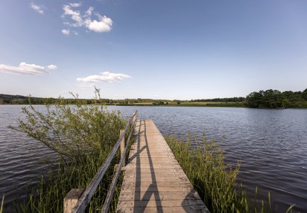 Steg am Jungferweiher