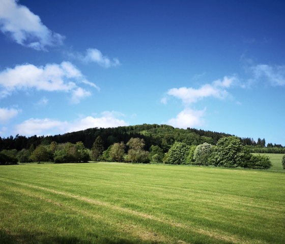 Blick auf Ernstberg - HeimatSpur Ernstberg- Panoramaweg, © Gesundland Vulkaneifel GmbH