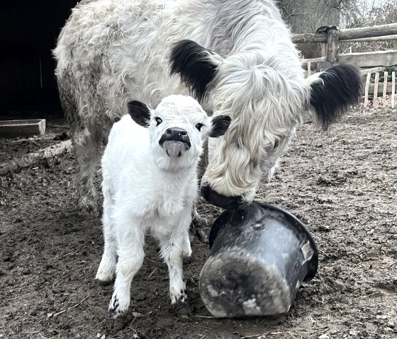 Audrey mit Mama