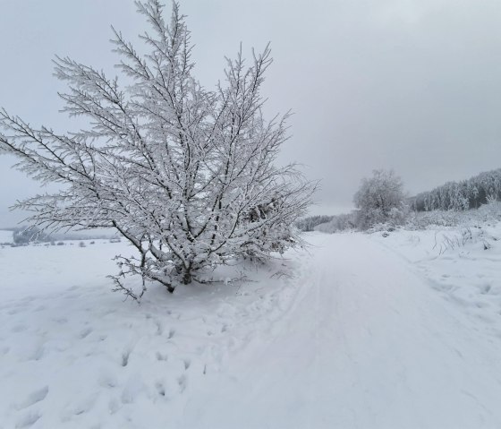 Winter im GesundLand Vulkaneifel, © GesundLand Vulkaneifel GmbH