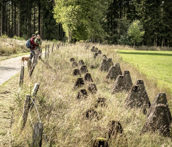 Panzersperren an der Eifelspur Westwall, © Eifel Tourismus GmbH, Dominik Ketz - finanziert durch REACT-EU