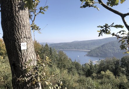 Aussicht auf den Rursee, © Rursee-Touristik GmbH, Conni Schink