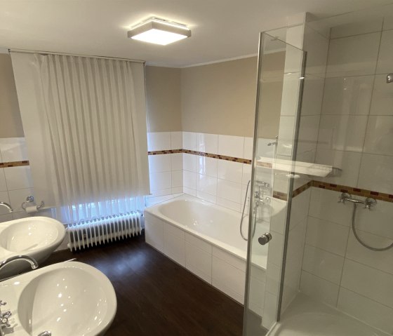 Appartement Salle de bains Douche et baignoire Exemple