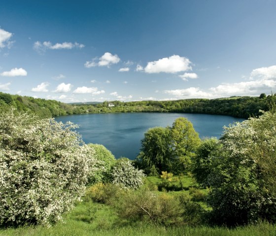 Eifelsteig, Weinfelder Maar im Frühling, © Rheinland-PfalzTourismus GmbH - Dominik Ketz