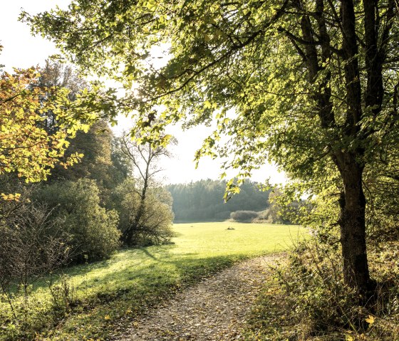 Eifelsteig-2019-129-Bolsdorfer Tälchen, Hillesheim, © Eifel Tourismus GmbH, Dominik Ketz