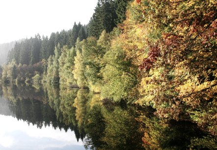 Perlbachtalsperre bei Monschau, © Heike Becker