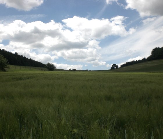 herrliche Eifellandschaft, © Ferienhof an der Lay-Elisabeth Schröder