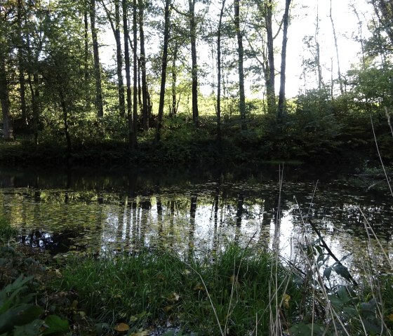 Weiher bei Berescheid, © Edgar Hoss & Nordeifel Tourismus GmbH