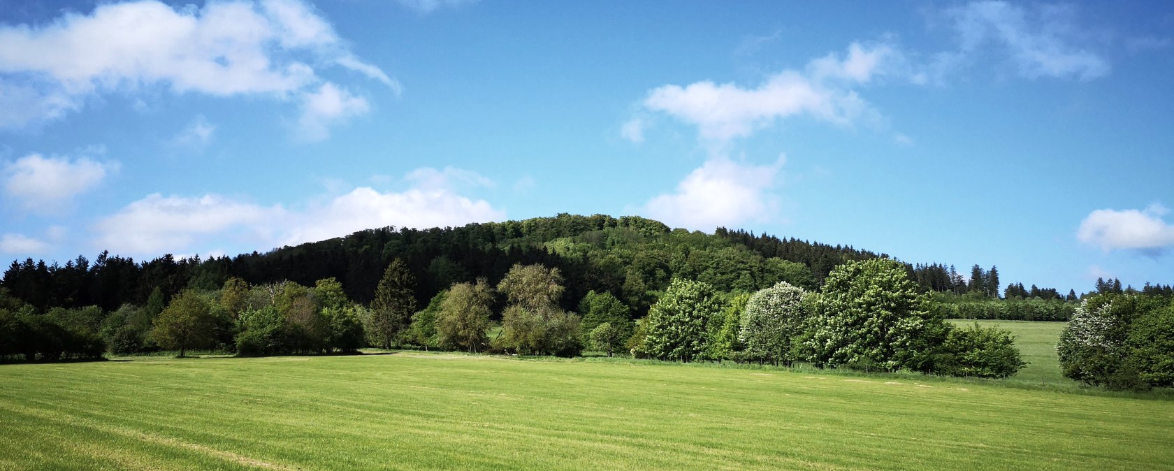 Blick auf Ernstberg - HeimatSpur Ernstberg- Panoramaweg, © Gesundland Vulkaneifel GmbH