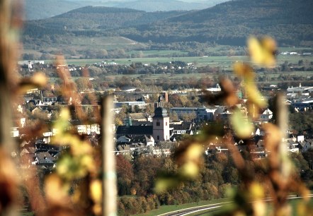 Wittlicher Weinberge mit Blick auf St. Markus, © Tourist Information Wittlich Stadt & Land