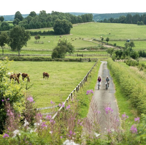 Radtour Eifel: Vennbahn, Wolfsbusch Montenau, © vennbahn.eu