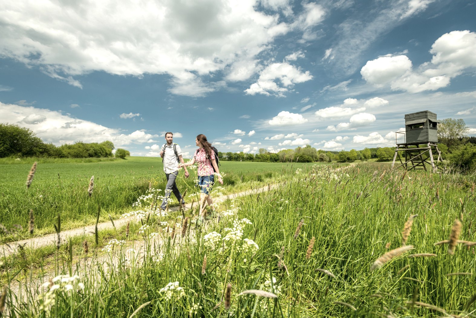 Wandern bei sonnigem Wetter, © Eifel Tourismus GmbH, Dominik Ketz