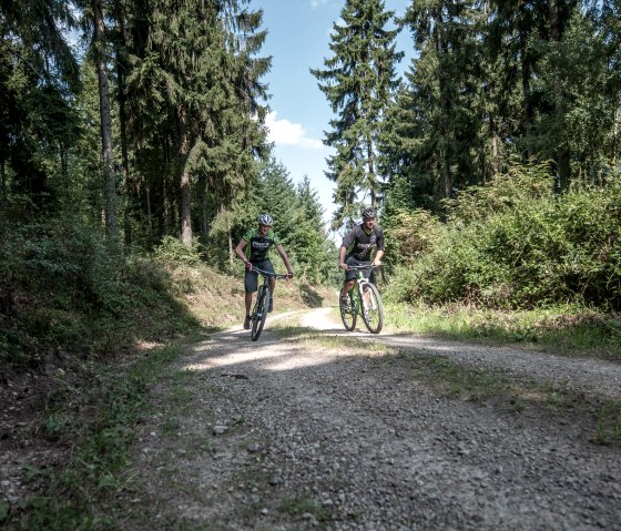 Radfahrer im Wald, © Freifahrt Eifel - Kreis Düren