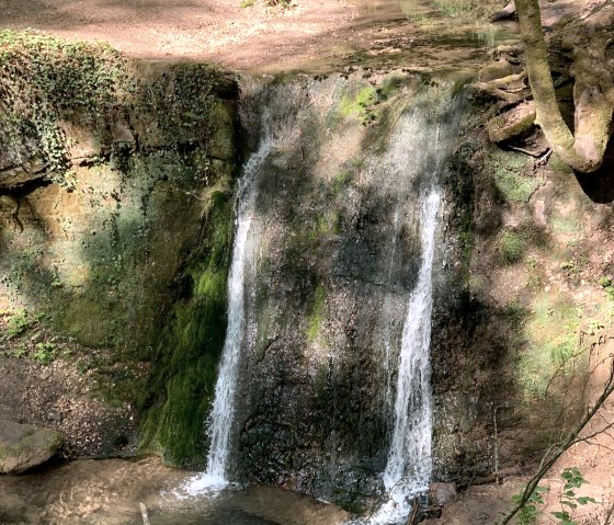 randonnée Trierweiler Sirzenich, © Deutsch Luxemburgische Tourist Information