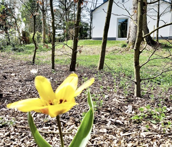 Garten im Frühjahr, © Nordeifel Tourismus GmbH & Freiraum Ferienhaus