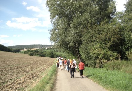 Eifel Wanderer, © Deutsc-Luxemburgische Tourist-Info