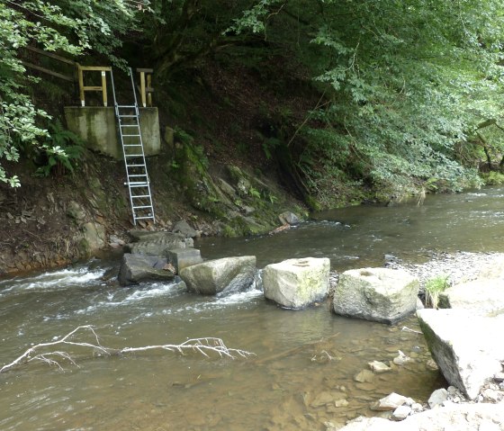 Trittsteine führen über den Bach Irsen, © Tourist-Information Islek, Ingrid Wirtzfeld