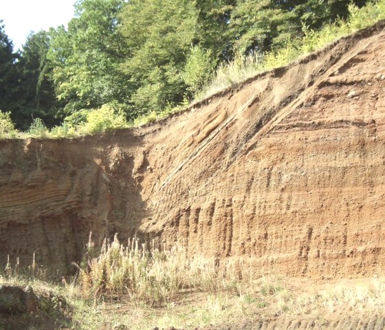 Tête de Rockeskyller, © Tourist-Information Gerolsteiner Land